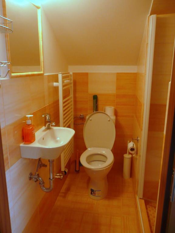 Ami Penzion Brno Room photo